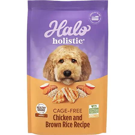 Halo Holistic Cage Free Chicken & Brown Rice